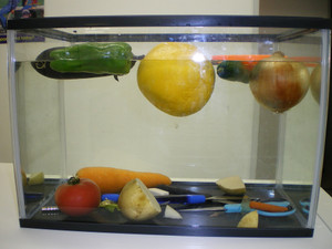 水 に 浮く 野菜 果物
